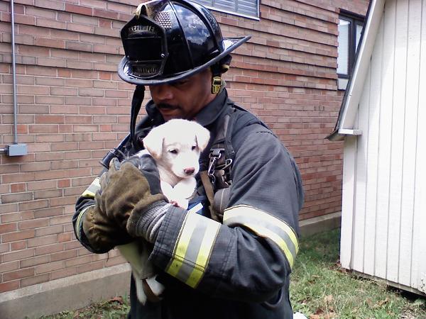 Date this stunning United States man Christopher from Indianapolis US303