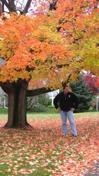 Date this lovely United States man Rick from Seattle US417