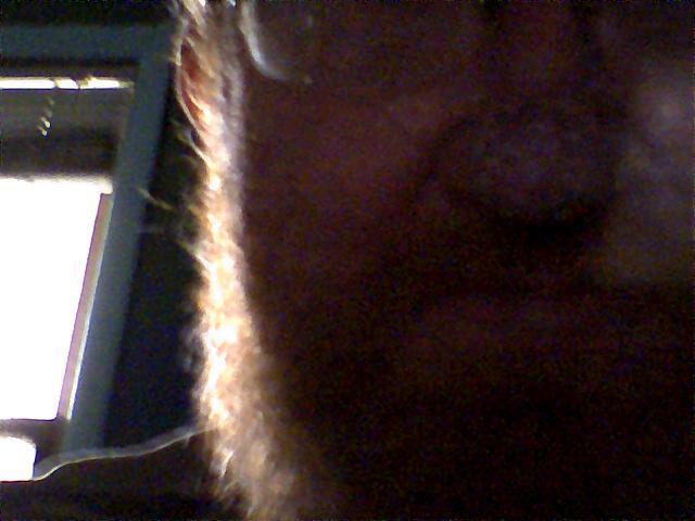 Date this hot United States man Driven7 from Union Grove US1759