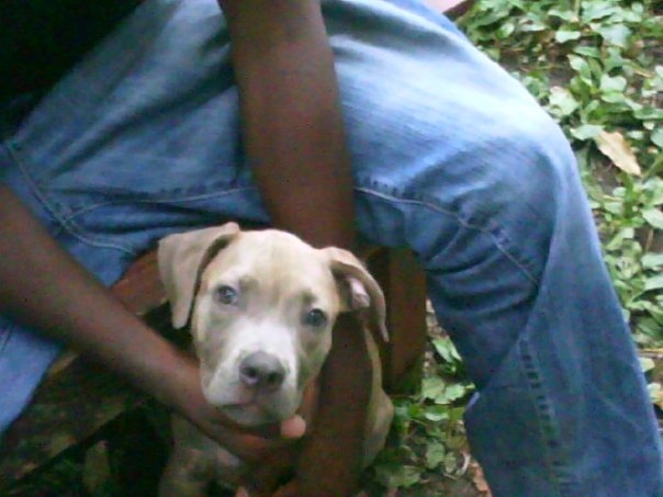 Date this foxy United States man Big from detroit US4746