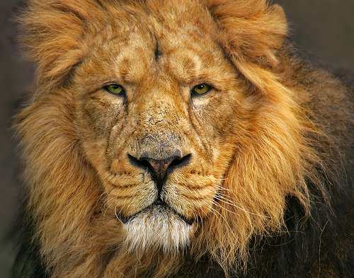 Date this young United States man Vicmai from Bronx US5032