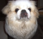 beautiful United States man  from Nowhere US5629