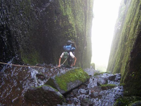 Date this delightful United States man Rolling_roc from Burke US5643