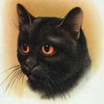 pretty United States man  from Los Angeles US6727