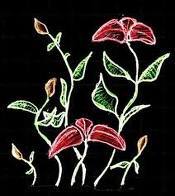 Date this sensual United States girl Grace from New York City US6994