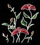 delightful United States girl Grace from New York City US6994