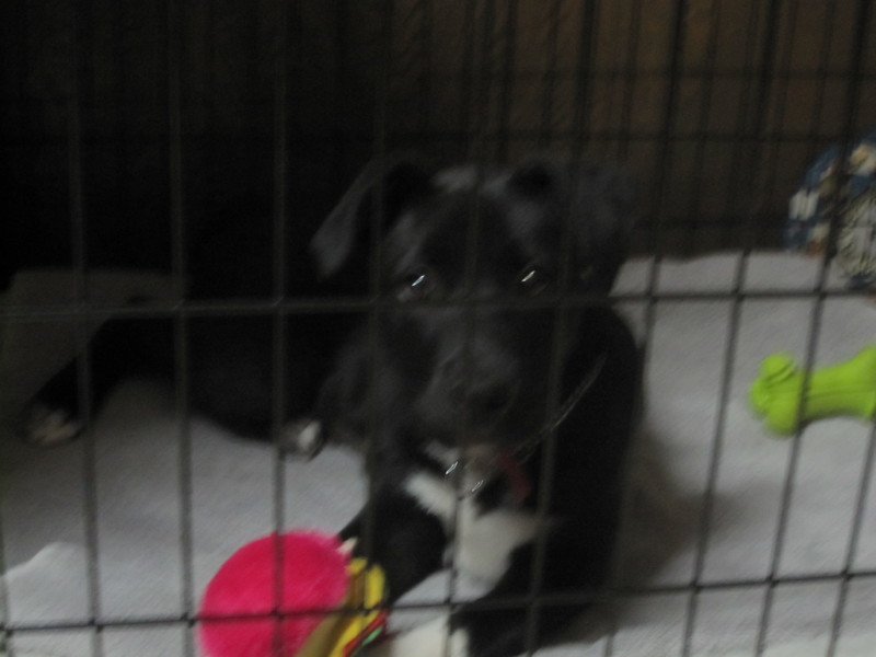 Date this cute United States girl Flabra from San Diego US9259