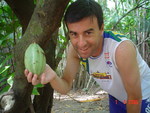 delightful Brazil man  from Curitiba BR5173