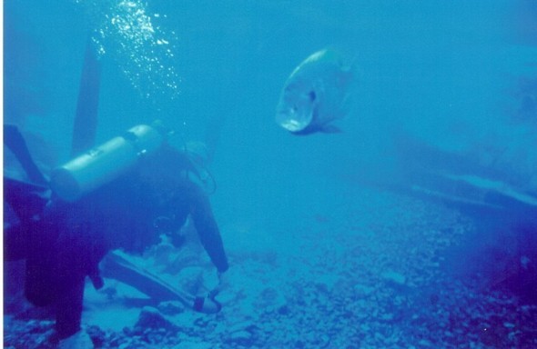 Date this tall United States man Jim from Pensacola US10548