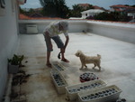 voluptuous Dominican Republic man  from Cabarete DO10006