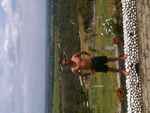 pretty Colombia man  from Popayan CO9411