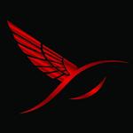 funny United States man  from Houston US13021