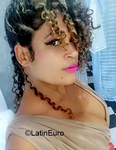 attractive Dominican Republic girl Rosanna from Santo Domingo DO38412